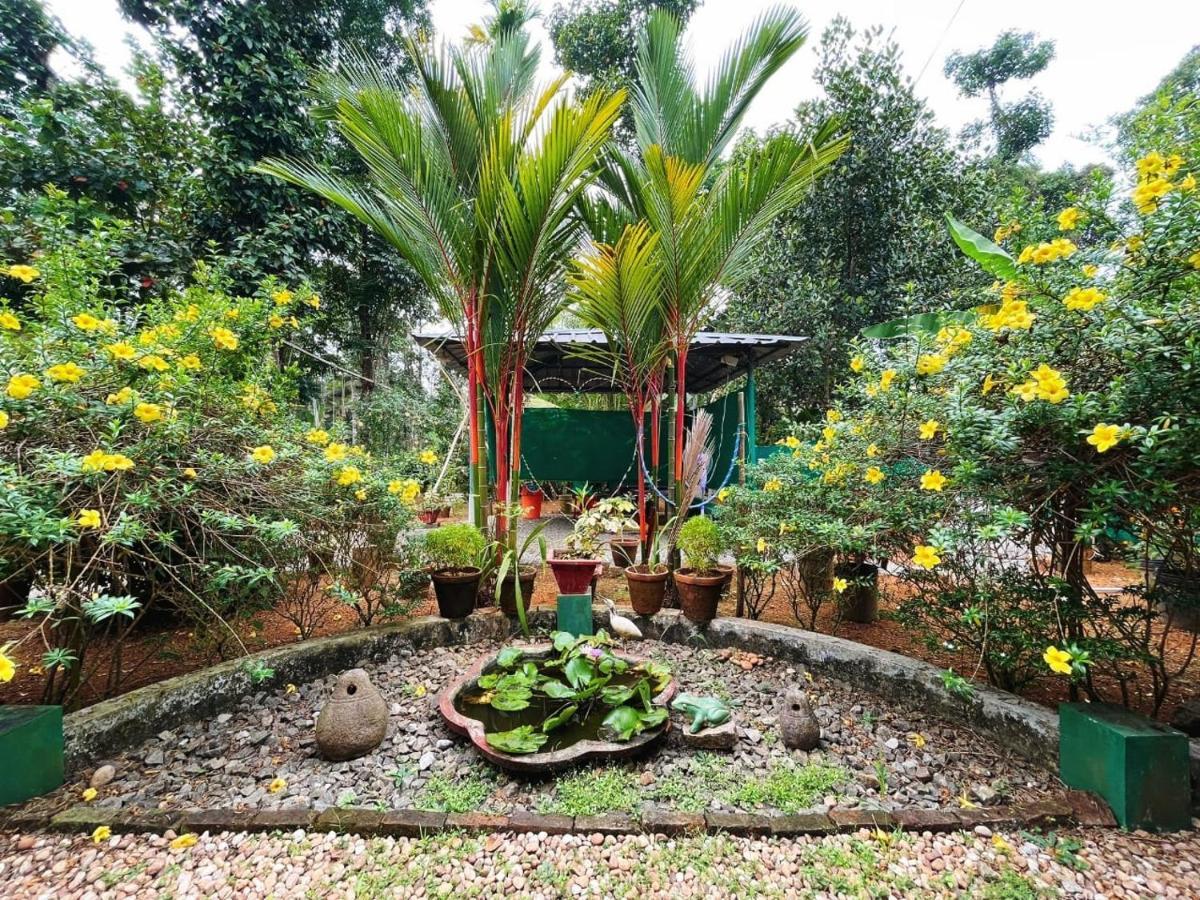 Kuttickattil Gardens Homestay 코타얌 외부 사진