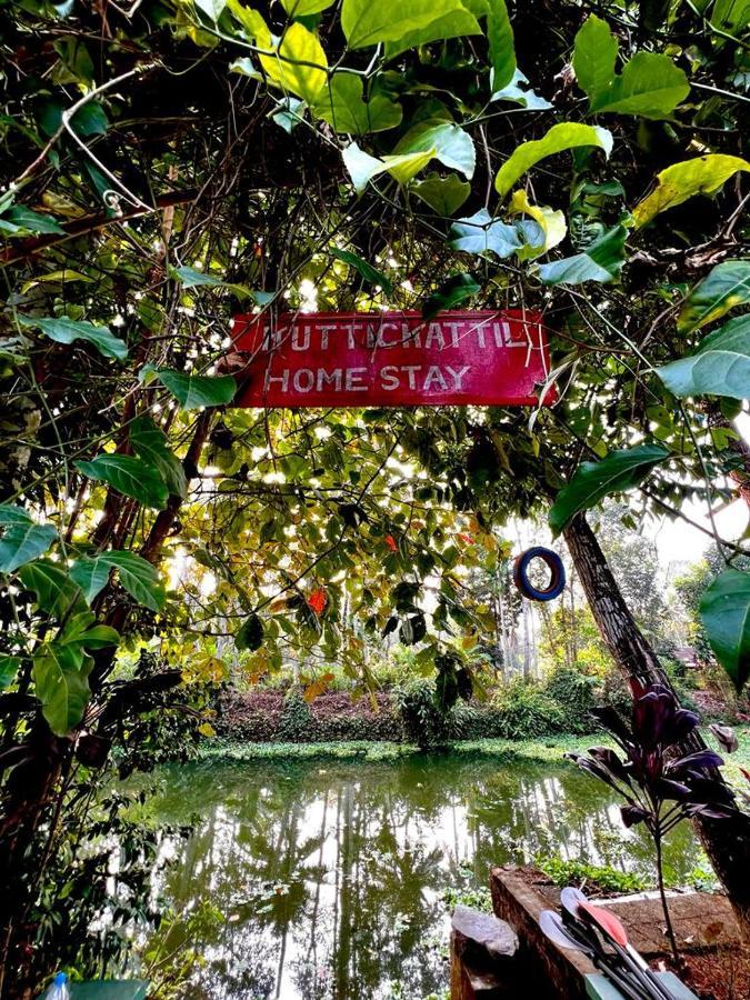 Kuttickattil Gardens Homestay 코타얌 외부 사진